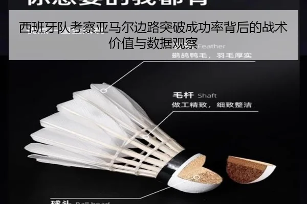 img_1782303187570_635_1_245.jpg